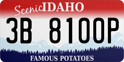 ID license plate 3B8100P