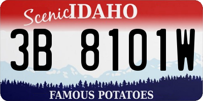 ID license plate 3B8101W