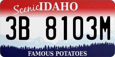 ID license plate 3B8103M