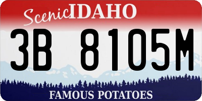 ID license plate 3B8105M