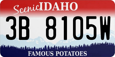 ID license plate 3B8105W