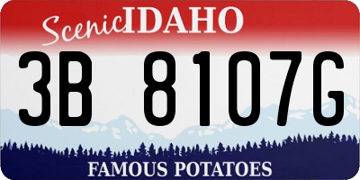 ID license plate 3B8107G
