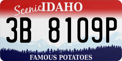 ID license plate 3B8109P