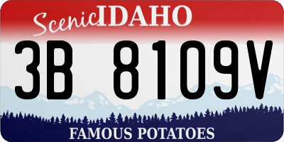 ID license plate 3B8109V
