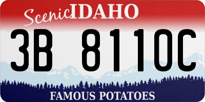 ID license plate 3B8110C