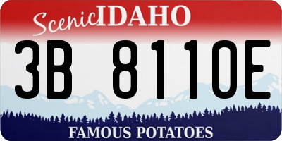 ID license plate 3B8110E