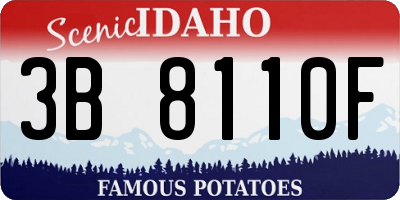 ID license plate 3B8110F