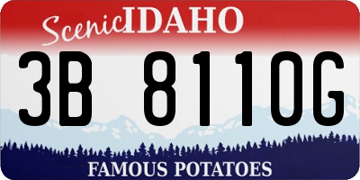 ID license plate 3B8110G