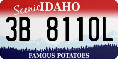 ID license plate 3B8110L