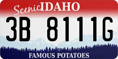 ID license plate 3B8111G