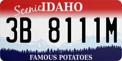 ID license plate 3B8111M