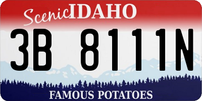 ID license plate 3B8111N