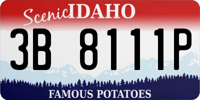 ID license plate 3B8111P