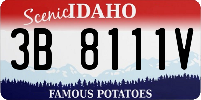ID license plate 3B8111V
