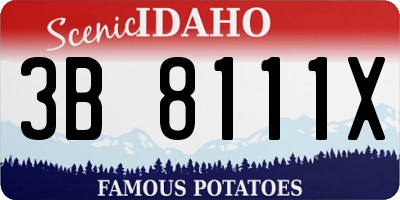 ID license plate 3B8111X