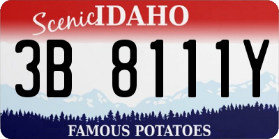 ID license plate 3B8111Y