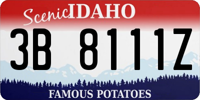 ID license plate 3B8111Z