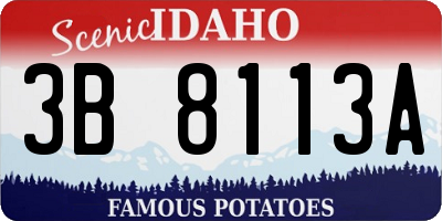 ID license plate 3B8113A