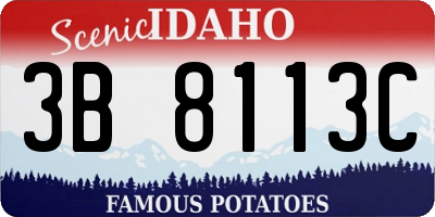 ID license plate 3B8113C