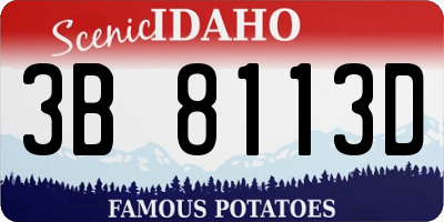 ID license plate 3B8113D