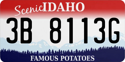 ID license plate 3B8113G