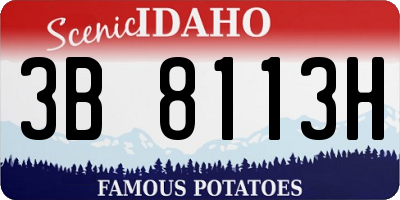 ID license plate 3B8113H