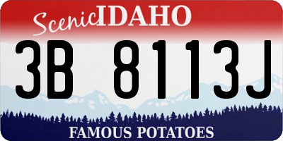 ID license plate 3B8113J