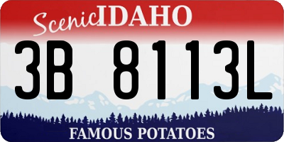 ID license plate 3B8113L