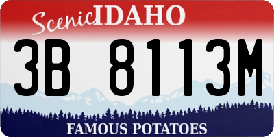 ID license plate 3B8113M