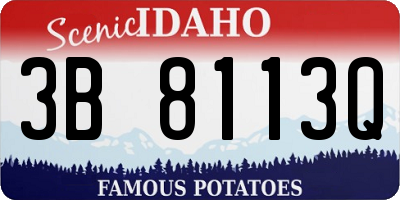 ID license plate 3B8113Q
