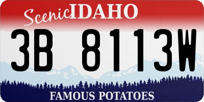 ID license plate 3B8113W