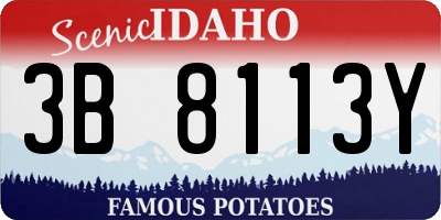 ID license plate 3B8113Y