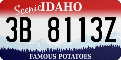 ID license plate 3B8113Z
