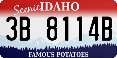 ID license plate 3B8114B