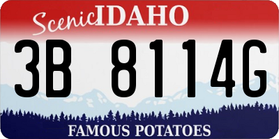 ID license plate 3B8114G
