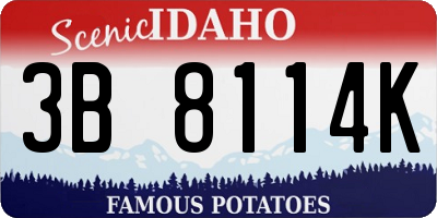 ID license plate 3B8114K