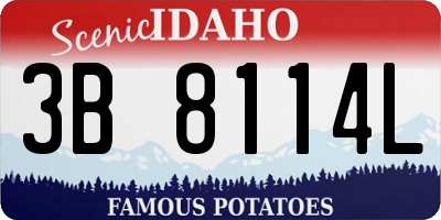 ID license plate 3B8114L