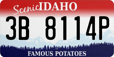 ID license plate 3B8114P
