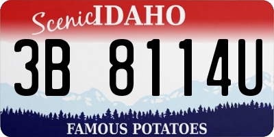 ID license plate 3B8114U