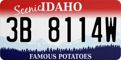 ID license plate 3B8114W