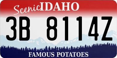 ID license plate 3B8114Z