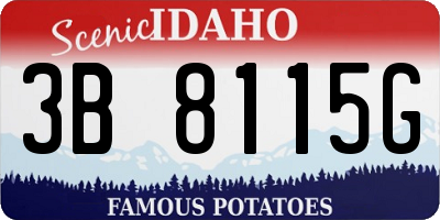 ID license plate 3B8115G