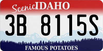 ID license plate 3B8115S
