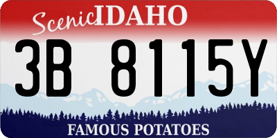 ID license plate 3B8115Y