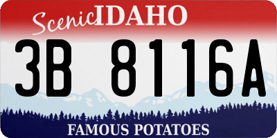 ID license plate 3B8116A