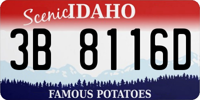 ID license plate 3B8116D