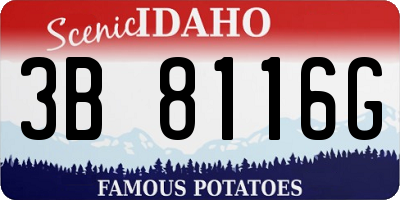 ID license plate 3B8116G