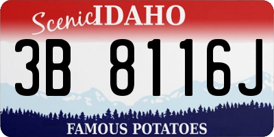 ID license plate 3B8116J