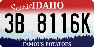 ID license plate 3B8116K