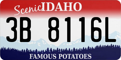 ID license plate 3B8116L